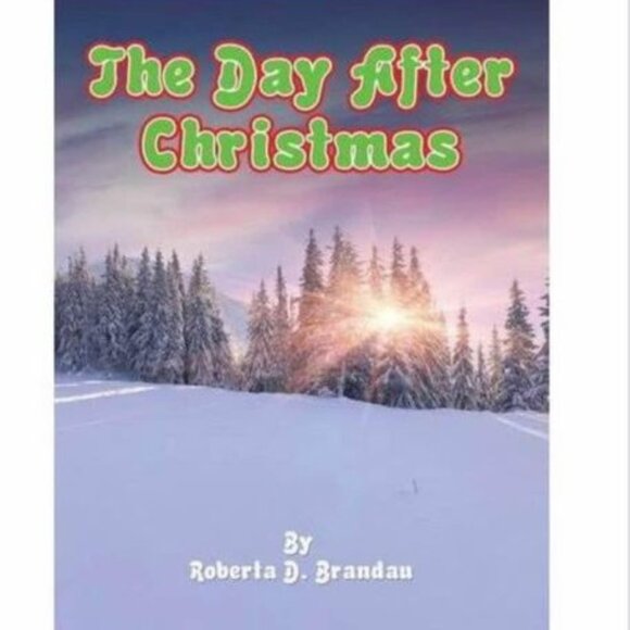 The Day After Christmas Children's Book - Picture 1 of 9